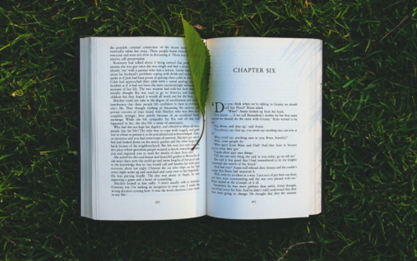 Editing: Does it pay to be an avid&nbsp;reader?